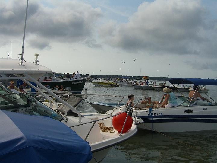 Chincoteague Pony Swim July 2007 027.JPG